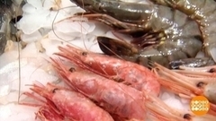 Я креветка! Тигровая, королевская, аргентинская. Доброе утро. Фрагмент