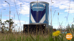 Сгущенка: кокосовая, фисташковая, овсяная… Доброе утро. Фрагмент