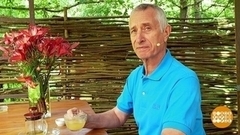 Улучшаем пищеварение. Доброе утро. Фрагмент