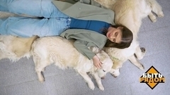 «Собаки — это целая вселенная». Быть рядом! Премьера сезона. Скоро