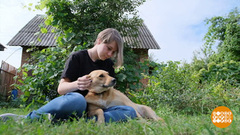 Заберите с дачи тех, кого приручили! Доброе утро. Суббота. Фрагмент