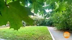 Почему лето «бабье»? Доброе утро. Фрагмент