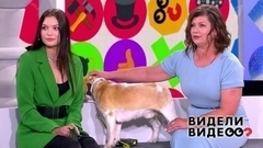 Видели видео? Анонс