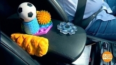 Зубочистка против стресса. Доброе утро. Фрагмент