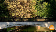 Короткая, но дивная пора… Доброе утро. Фрагмент