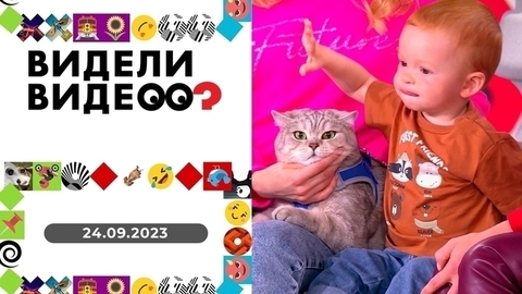 Заботливый водитель, кот на балансире, собачий психолог и самое «трогательное» видео. Видели видео?