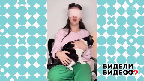 Хозяйка опознает котов вслепую. Видели видео? Фрагмент