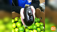 Что выросло, то выросло. Доброе утро. Фрагмент