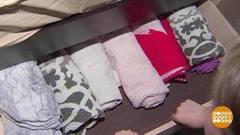 Кто живет в любимом пледе? Доброе утро. Фрагмент