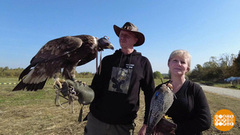 Кто такие сокольники? Доброе утро. Фрагмент