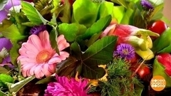 Что такое психогигиена? Доброе утро. Фрагмент