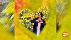 Осенние листья в объективе. Доброе утро. Фрагмент