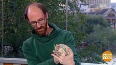 Филипп Тумасьян и ушастая ежиха Иголочка. Доброе утро. Фрагмент