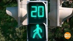 Кто лучше всех знает ПДД? Доброе утро. Фрагмент