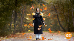 Наслаждаемся листопадом! Доброе утро. Фрагмент