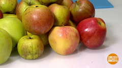 Яблок много не бывает! Доброе утро. Фрагмент