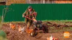 Осень в зените. Какие планы? Доброе утро. Суббота. Фрагмент