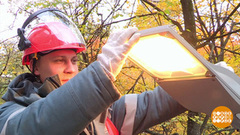 Чтобы во дворе было светло. Доброе утро. Фрагмент