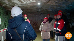 Я поведу тебя в музей! Доброе утро. Фрагмент