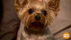 Меняешь привычку — меняешь жизнь? Доброе утро. Фрагмент