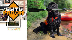 Быть рядом!