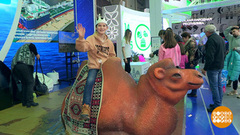 Выставка «Россия»: каждый день — что-то новое. Доброе утро. Фрагмент