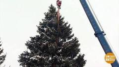 Главная елка страны: в Москву, в Москву, в Москву… Доброе утро. Фрагмент