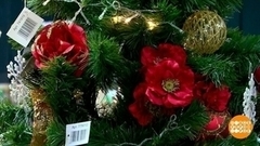 Праздник нужен всем! Доброе утро. Суббота. Фрагмент