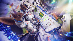 Белки в космосе. Взлет