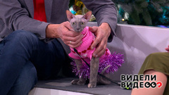 Новогодний выпуск. Видели видео? Анонс