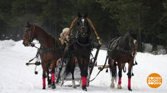 На тройке – с ветерком! Доброе утро. Фрагмент