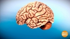 Включаем голову! Доброе утро. Фрагмент