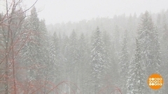 А снег идет… Доброе утро. Фрагмент