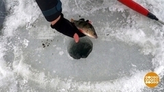 Рыба ищет, где глубже, а человек – где рыба… Доброе утро. Фрагмент