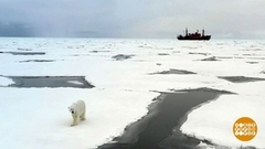 Идем в кино, отправляемся «В Арктику»! Доброе утро. Фрагмент