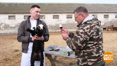 Сезонная работа? На любой вкус! Доброе утро. Фрагмент