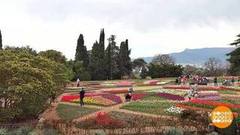 А хорошо в Крыму весной… Доброе утро. Суббота. Фрагмент