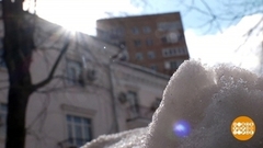 И тает лед, и сердце тает... а почему оно тает? Доброе утро. Фрагмент