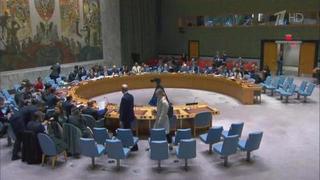 Россия применила право вето и заблокировала резолюцию СБ ООН по Северной Корее