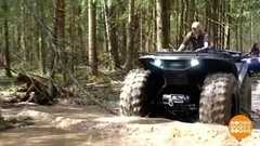 Куда поехать на майские праздники? Доброе утро. Фрагмент