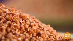 Гречка: ели, едим и есть будем! Доброе утро. Фрагмент