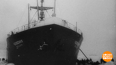 Настоящие Герои. Все — наши! Доброе утро. Фрагмент