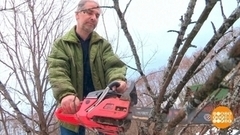 Садовый участок: что хочу, то и пилю? Доброе утро. Фрагмент