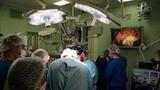 Врачи института Склифосовского провели успешную операцию по пересадке тонкого кишечника