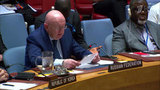 Россия наложила вето на проект резолюции СБ ООН о ядерном оружии в космосе