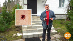 Сезон клещей. Меры безопасности. Доброе утро. Фрагмент