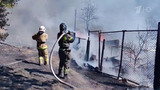 В Забайкальском крае загорелись сразу 30 дачных домов
