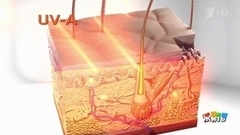 Глупые вопросы про солнце. Жить здорово! Фрагмент