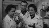 «Наука побеждать»: рассказ о подвиге советских врачей, спасших миллионы людей