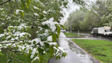В Москве всю первую половину дня идет снег